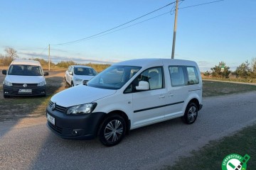 2.0 MPI 109 KM /5 osobowy/ Nowa instalacja LPG/Zarejestrowany