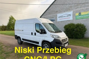 L2H2 3.0 Benzyna 136KM CNG 2019r 3 osobowy Kamera Cofania