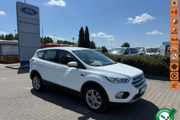 2019 Facelift Titanium 1.5 benzyna 175KM AWD 4x4 Automat