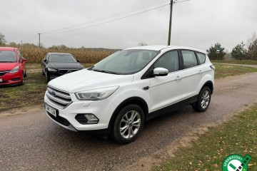 2019 Facelift Titanium 1.5 EcoBoost AWD 4x4175KM Automat EXPORT